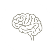 brain icon